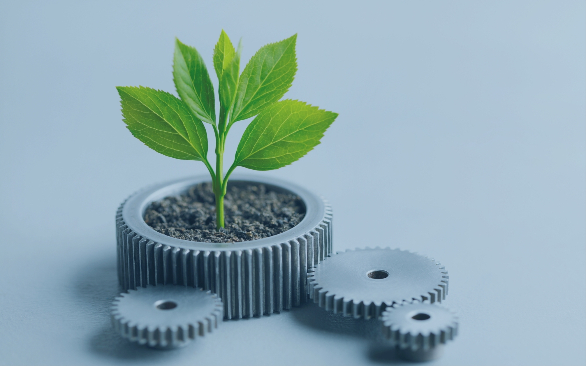 SUSTAINABILITY